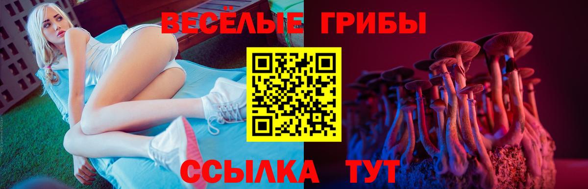 купить  цена  Галлюциногенные грибы Cubensis  Вход с VPN  Переславль-Залесский 